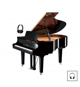 Photo Yamaha C2x Silent